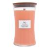 WoodWick Chilli Pepper Gelato Ароматна свещ 610 g