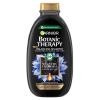 Garnier Botanic Therapy Magnetic Charcoal &amp; Black Seed Oil Шампоан за жени 400 ml