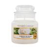 Yankee Candle Camellia Blossom Ароматна свещ 104 g