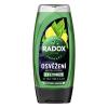 Radox Refreshment Menthol And Citrus 3-in-1 Shower Gel Душ гел за мъже 225 ml