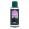 Victoria´s Secret Pink Cedar Woods Спрей за тяло за жени 250 ml