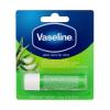 Vaseline Aloe Vera Lip Care Балсам за устни за жени 4,8 g