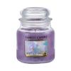 Yankee Candle Sweet Nothings Ароматна свещ 411 g