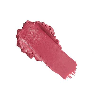 Revolution Pro New Neutral Satin Matte Lipstick Червило за жени 3,2 g Нюанс Struck