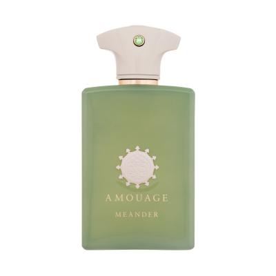 Amouage Meander Eau de Parfum 100 ml