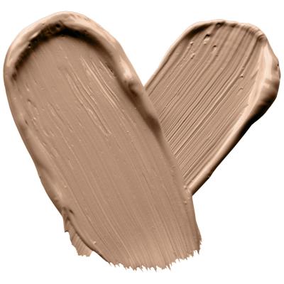 Wet n Wild MegaLast Incognito All-Day Full Coverage Concealer Коректор за жени 5,5 ml Нюанс Light Honey