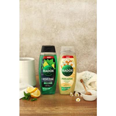 Radox Refreshment Menthol And Citrus 3-in-1 Shower Gel Душ гел за мъже 450 ml