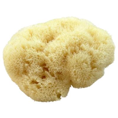 Kii-Baa Organic Silky Sea Sponge 10-12 cm Аксесоари за къпане 1 бр