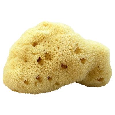 Kii-Baa Organic Silky Sea Sponge 8-10 cm Аксесоари за къпане 1 бр