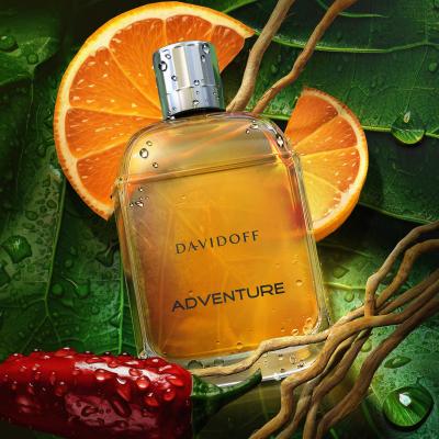 Davidoff Adventure Eau de Toilette за мъже 100 ml