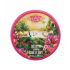 Institut Karité Pure Shea Butter Jungle Paradise Collector Edition Масло за тяло за жени 50 ml