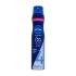 Nivea Care & Hold Regenerating Styling Spray Лак за коса за жени 250 ml