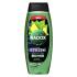 Radox Refreshment Menthol And Citrus 3-in-1 Shower Gel Душ гел за мъже 450 ml