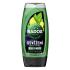 Radox Refreshment Menthol And Citrus 3-in-1 Shower Gel Душ гел за мъже 225 ml