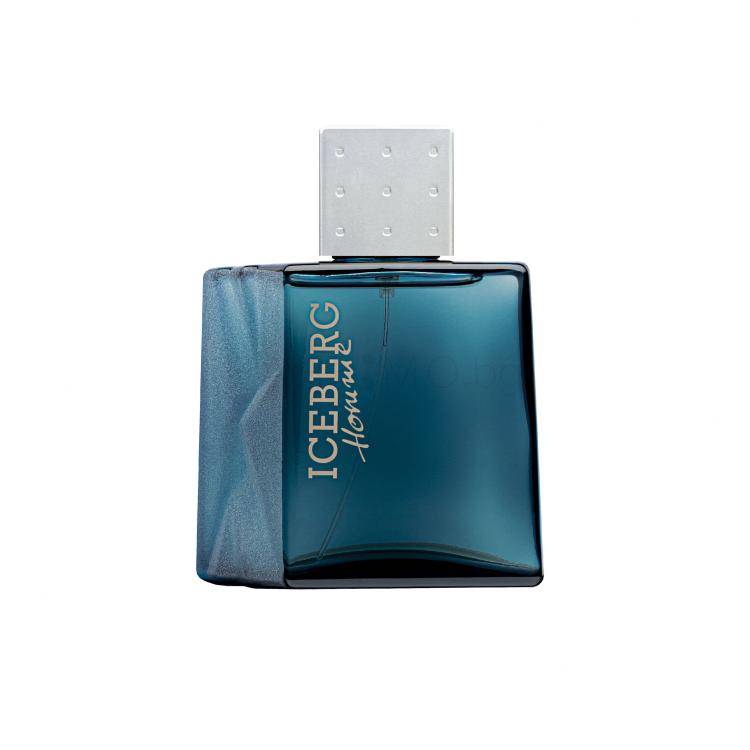 Iceberg Homme Eau de Toilette за мъже 50 ml