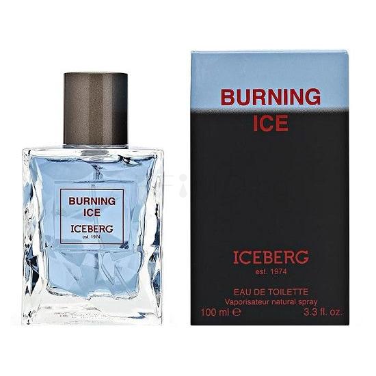 Iceberg Burning Ice Eau de Toilette за мъже 100 ml ТЕСТЕР